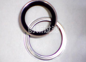 Stainless steel fittings and sealing rings